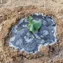 트리플농장 이미지