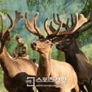 자연사슴농장 스포츠경향