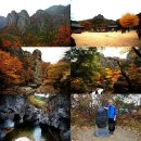 상평리_마을진입로_006 | 주왕산의 갓바위~대궐령~왕거암 개방코스의 단풍산행.