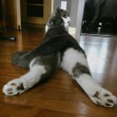 무드인디고 이미지