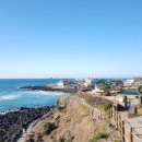 스테이헤이븐 이미지