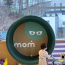 링크맘용인 오가닉그라운드등 쇼핑템 언박싱 후기
