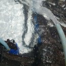 오늘도 장어 이미지