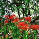 만평네거리 이미지