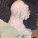 우정식품 이미지