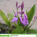 우란농장 이미지