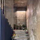 콜로세움 | [제주/연동 늦게까지 하는 카페&amp;펍] ‘콜로세움’ 내돈내산 솔직후기