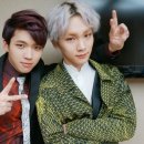 투하트 카카오 검색결과