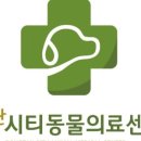 동탄시티동물의료센터 네이버블로그