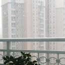 미인열차 이미지