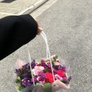플로미아