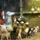 우화농장 이미지