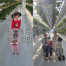 기철농장 이미지