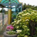 안성리-8 이미지