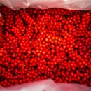 원통시장 이미지