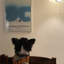 비바 서울(BIBA SEOUL) 이미지