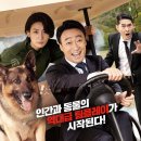 미스터 주 티스토리