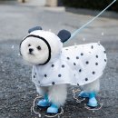 1027 이미지
