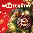 스테이(STAY) 25 이미지