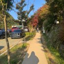 화담푸드랩 | 2025 곤지암 화담숲 모노레일 없이 걸어서 다녀온 후기💖