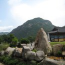 합천토종흙돼지 이미지