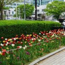 평촌중앙공원 이미지