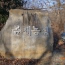 곰재농장 Daum카페