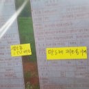 선진화훼유통 이미지
