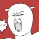 248 이미지