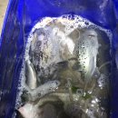 김태규복싱클럽 이미지