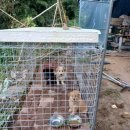 우경약국 이미지