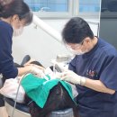 [공지] 강동구 치과 임플란트 23년간 문제없이 사용할 수 있었던 2가지 이유
