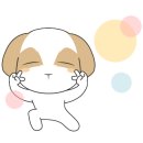 가마서울 이미지