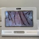 이플뷰티 | 평택두피관리 이플뷰티 방문 솔직후기 재방문하고 싶은 가성비 관리 맛집