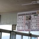두꺼비어탕