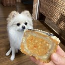 솜바지 다과점 이미지