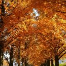 송일식당 이미지