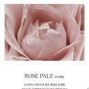 [논픽션 향수] 로즈페일 헤어 세럼 미스트 후기