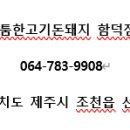 돈돼지구이전문점 이미지