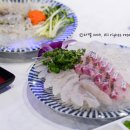상일동 맛집 세민수산 고덕점에서 비린내 없는 오징어회와 활어회