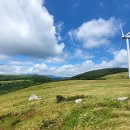 채선농장 이미지