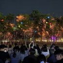 세종낙화축제: 한국의 독특한 불꽃 문화유산