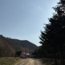 온빛매점