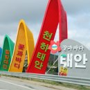 태안-안면-비상-7 | 충남 보령 해저터널 원산도맛집 대길회 원산안면대교 서해 드라이브코스