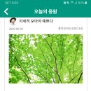 자세히 보아야 예쁘다 이미지
