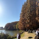 [용인 단풍 명소] 11/10 한국외국어대학교 글로벌 캠퍼스 명수당 방문후기, 사진스팟