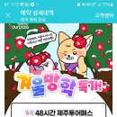 제주담투어 이미지