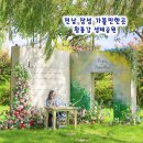 황룡강변2 | 전남 장성 가볼만한곳 황룡강 생태공원 가을꽃축제