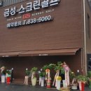 금성스크린골프