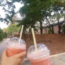 베리베리(very berry) 네이버블로그
